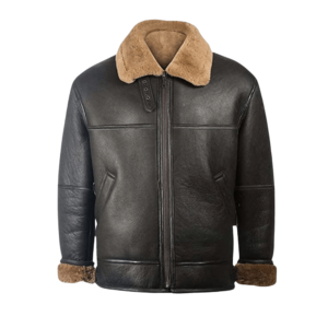 Bomber Aviator
